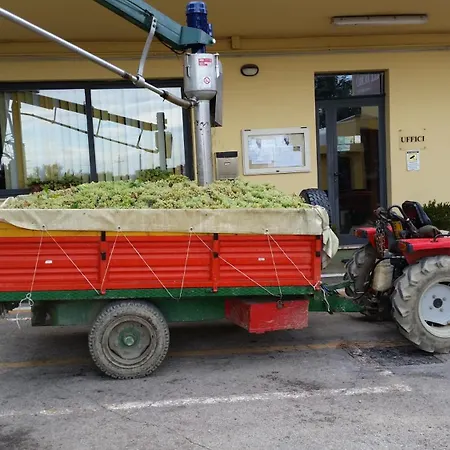 Сasa de vacaciones 2 Salvatore